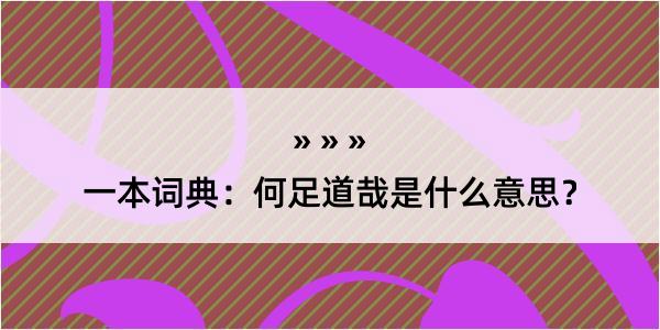 一本词典：何足道哉是什么意思？