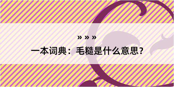 一本词典：毛糙是什么意思？