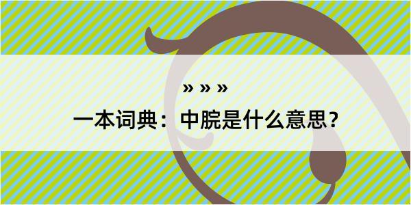 一本词典：中脘是什么意思？