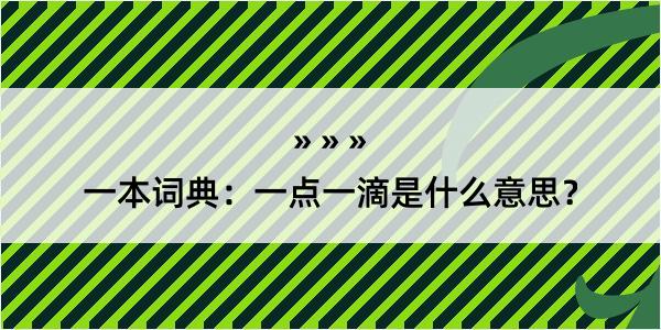 一本词典：一点一滴是什么意思？