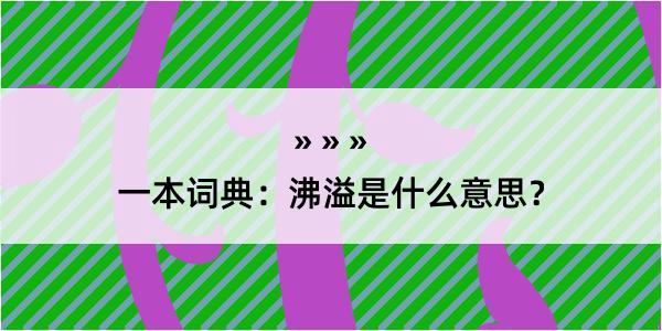 一本词典：沸溢是什么意思？