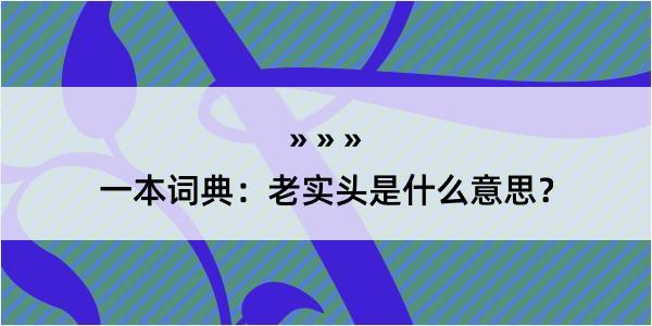 一本词典：老实头是什么意思？