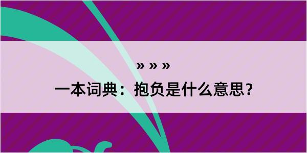 一本词典：抱负是什么意思？