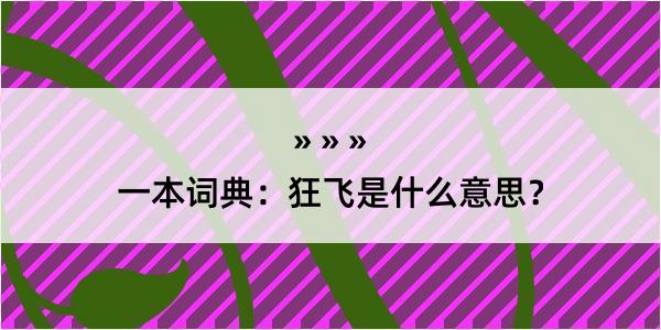 一本词典：狂飞是什么意思？