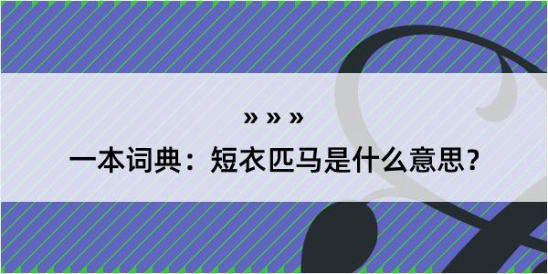 一本词典：短衣匹马是什么意思？