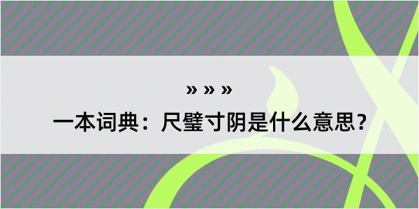 一本词典：尺璧寸阴是什么意思？