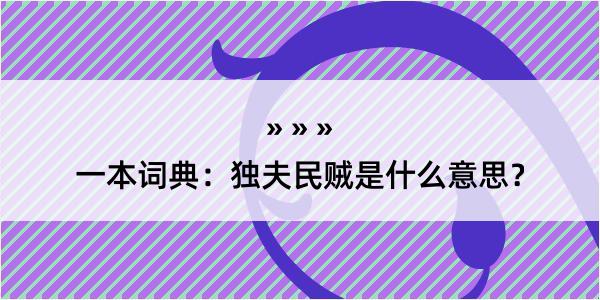 一本词典：独夫民贼是什么意思？