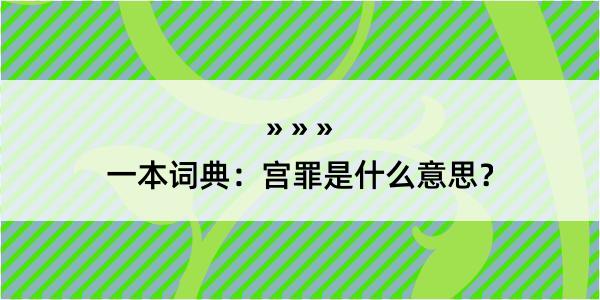 一本词典：宫罪是什么意思？