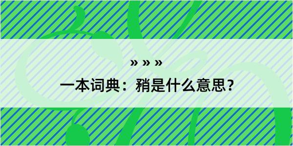 一本词典：矟是什么意思？