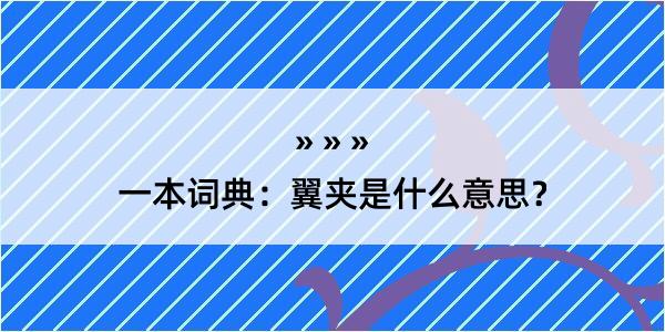 一本词典：翼夹是什么意思？