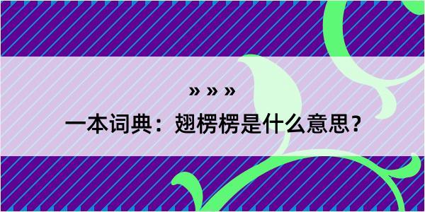 一本词典：翅楞楞是什么意思？