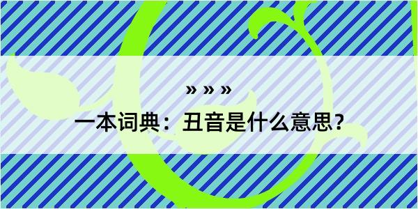 一本词典：丑音是什么意思？