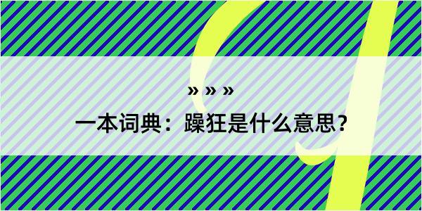 一本词典：躁狂是什么意思？