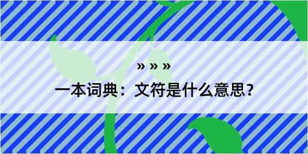 一本词典：文符是什么意思？