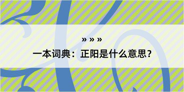 一本词典：正阳是什么意思？