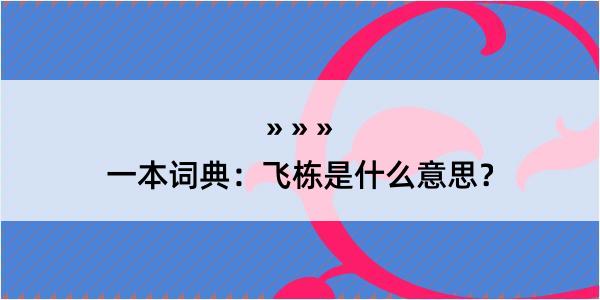 一本词典：飞栋是什么意思？