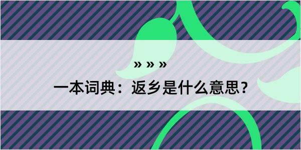 一本词典：返乡是什么意思？