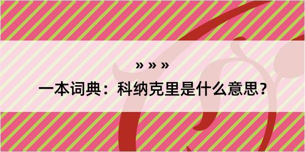 一本词典：科纳克里是什么意思？