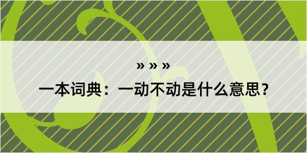 一本词典：一动不动是什么意思？