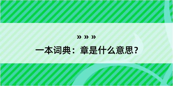 一本词典：章是什么意思？