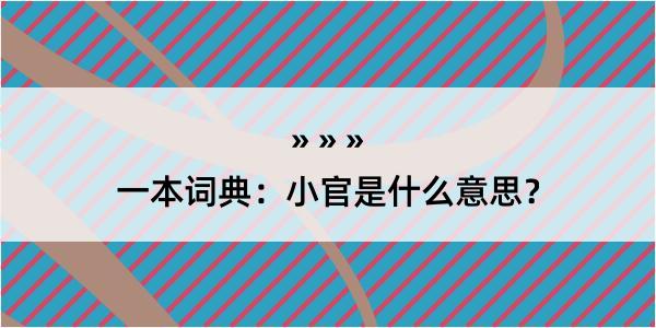 一本词典：小官是什么意思？