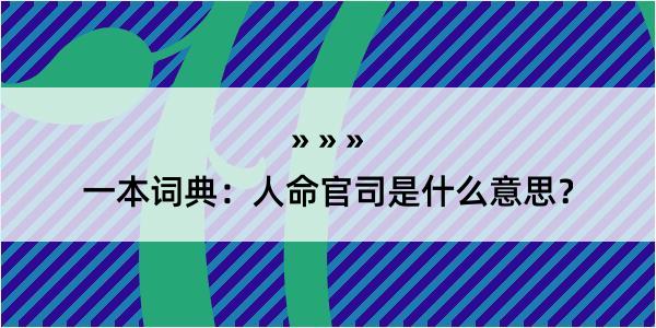 一本词典：人命官司是什么意思？