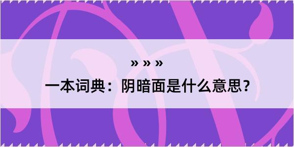 一本词典：阴暗面是什么意思？