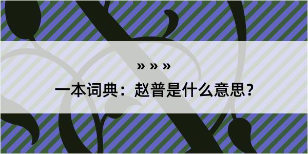 一本词典：赵普是什么意思？