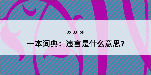 一本词典：违言是什么意思？