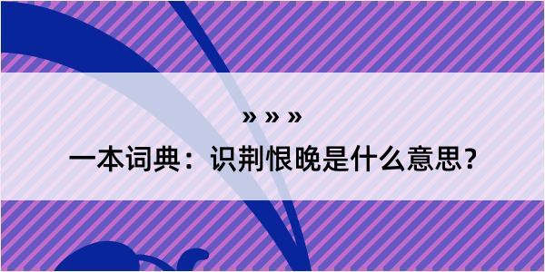 一本词典：识荆恨晚是什么意思？