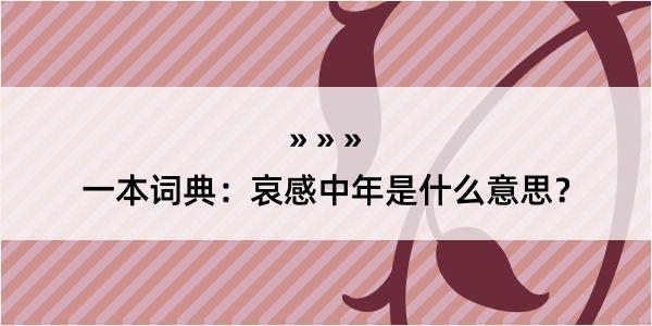 一本词典：哀感中年是什么意思？