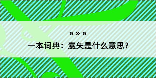 一本词典：囊矢是什么意思？