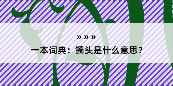 一本词典：镯头是什么意思？