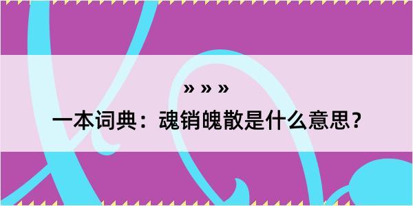 一本词典：魂销魄散是什么意思？