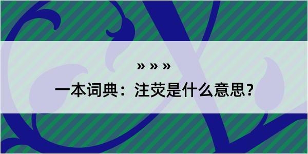 一本词典：注荧是什么意思？