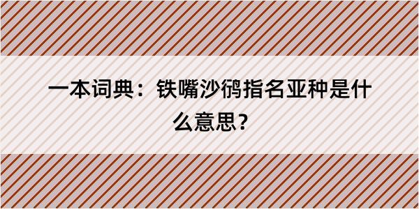 一本词典：铁嘴沙鸻指名亚种是什么意思？