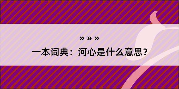 一本词典：河心是什么意思？