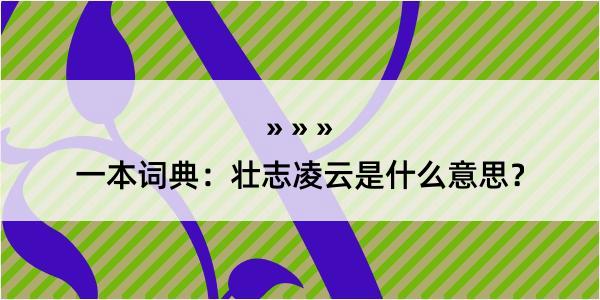 一本词典：壮志凌云是什么意思？