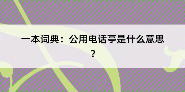 一本词典：公用电话亭是什么意思？