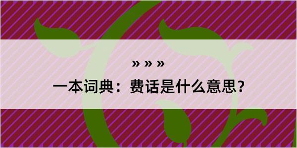 一本词典：费话是什么意思？