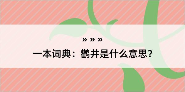 一本词典：鹳井是什么意思？