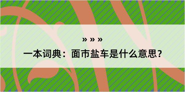 一本词典：面市盐车是什么意思？