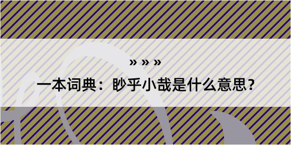 一本词典：眇乎小哉是什么意思？