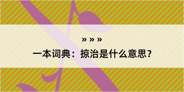 一本词典：掠治是什么意思？