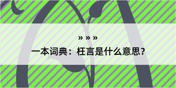 一本词典：枉言是什么意思？