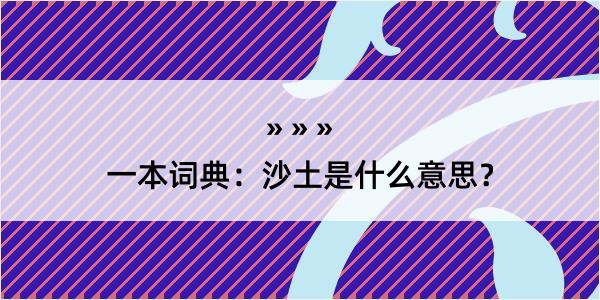 一本词典：沙土是什么意思？