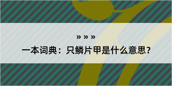 一本词典：只鳞片甲是什么意思？