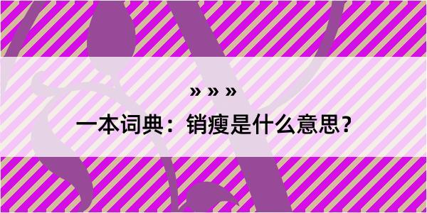 一本词典：销瘦是什么意思？