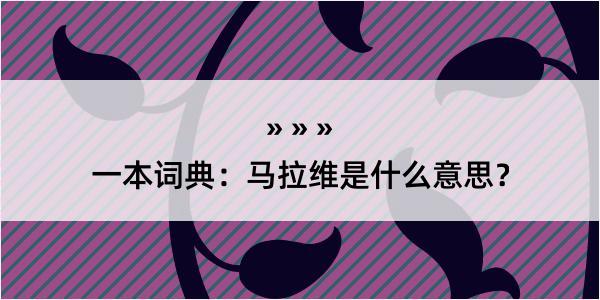 一本词典：马拉维是什么意思？