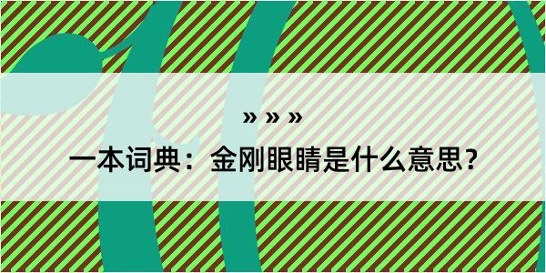 一本词典：金刚眼睛是什么意思？